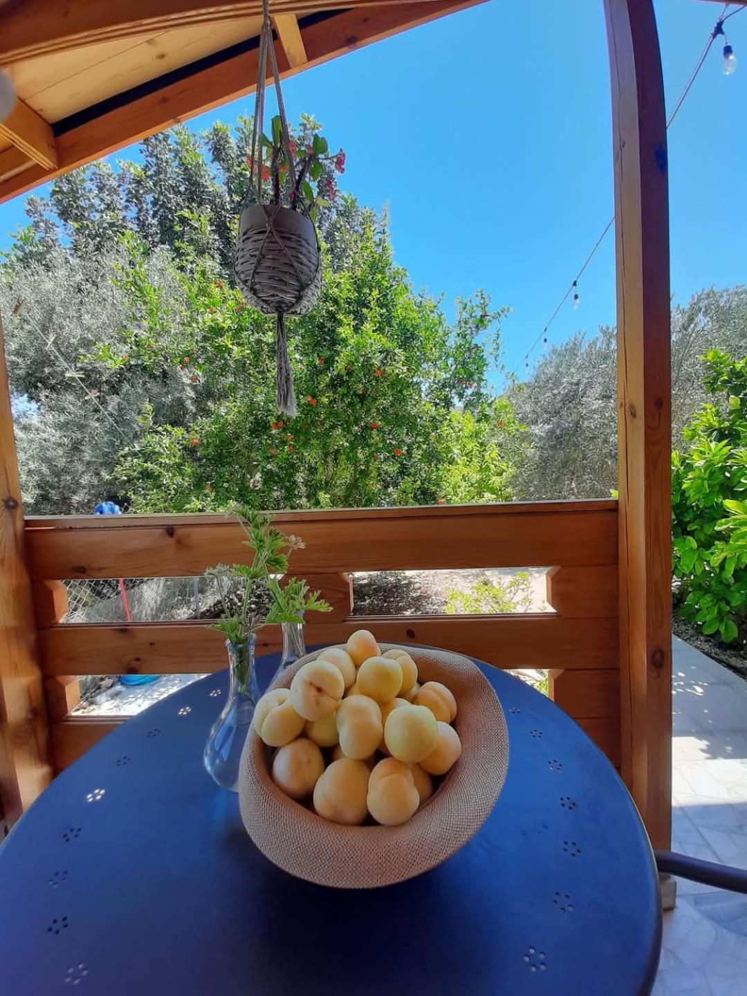 Villa Happy Glamping Cy Agios Theodoros Exterior foto